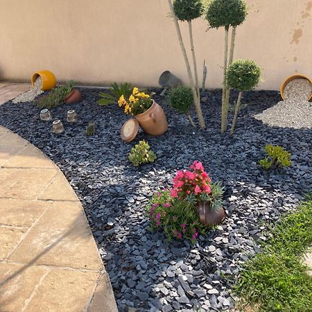 Petite Maison Dans Le Jardin Ars-en-Re Ngoại thất bức ảnh